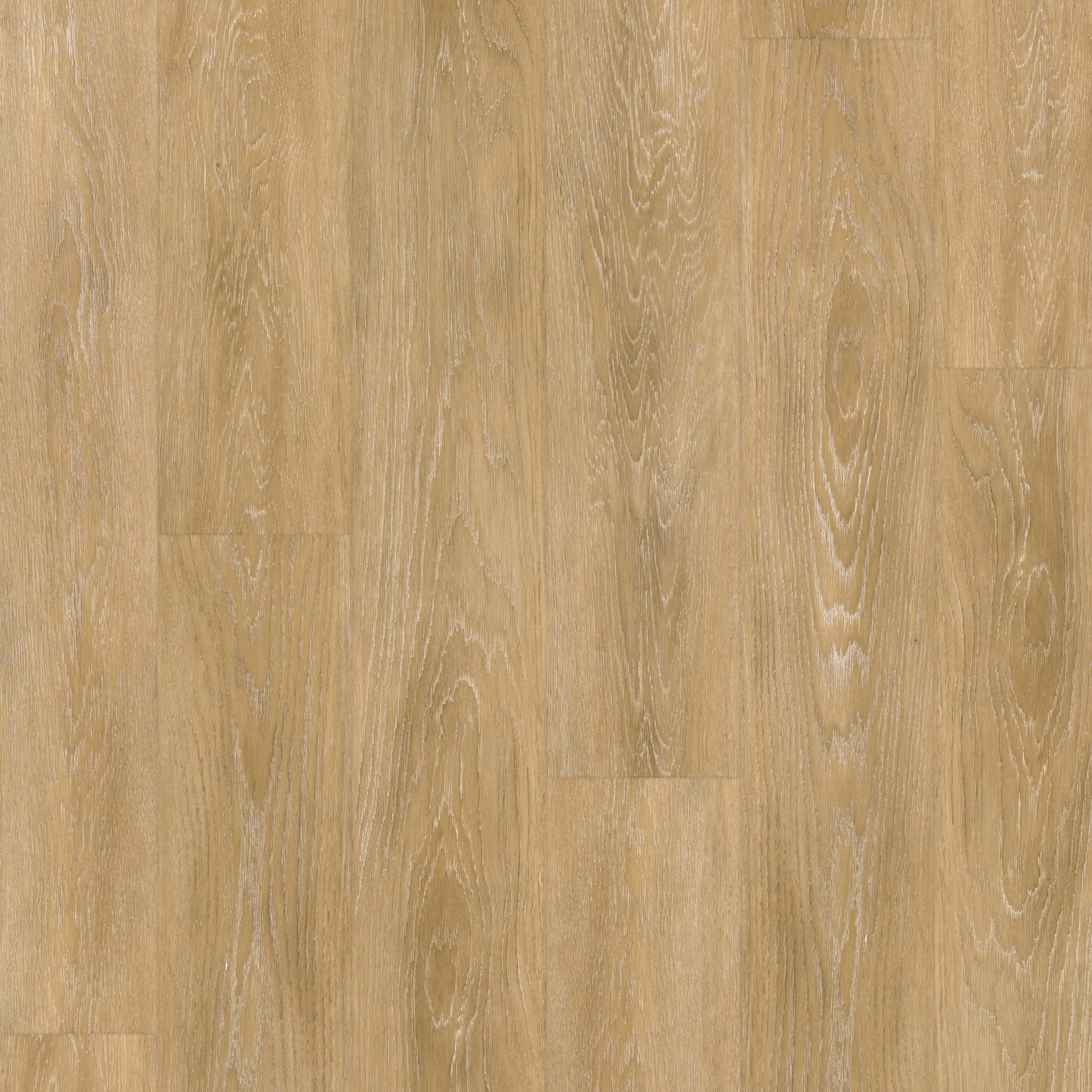 LVT Cadence Oak swatch