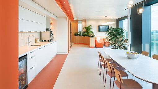 Polyflor Vinyl Flooring