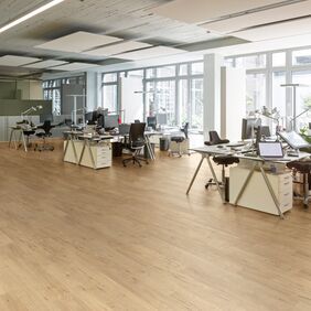 Office, desks, computers, large windows, oak style flooring