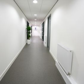 Grey stone effect safety flooring in a corridor with white walls and floor plants 