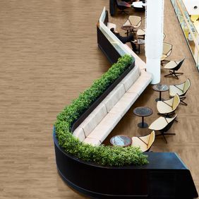 Light wood effect flooring in a dining area 