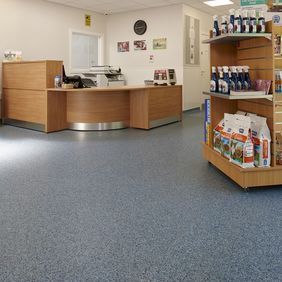 Vets practice reception area with blue coloured flooring