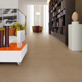 Seating area, commercial, book case, Plants, waiting area