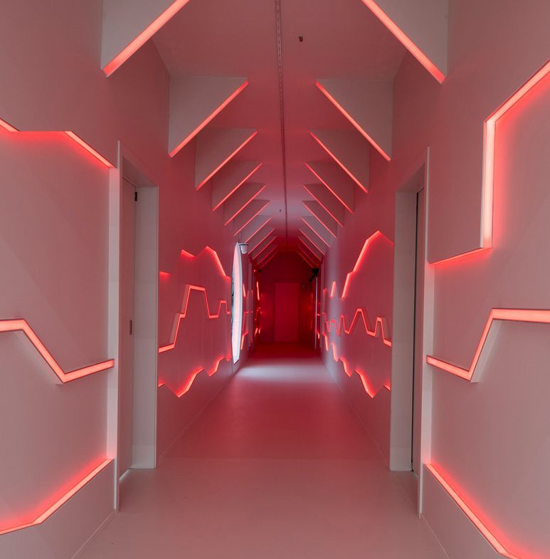 Big brother polyflor vinyl flooring