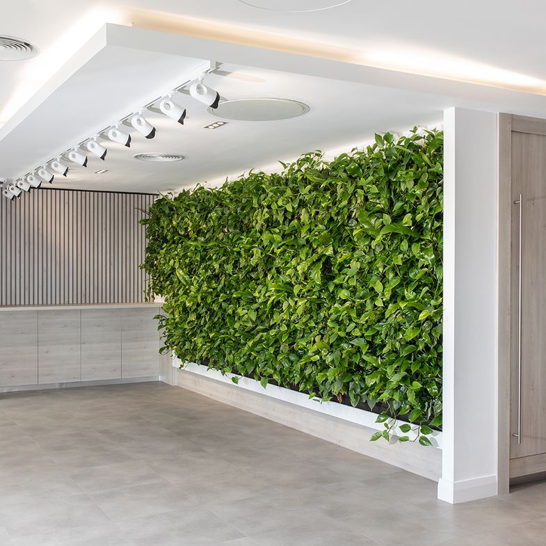 True Potential - Polyflor Vinyl Flooring