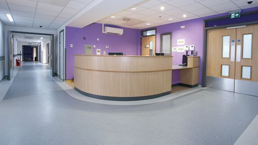 Polyflor 2000 PUR Vinyl Flooring