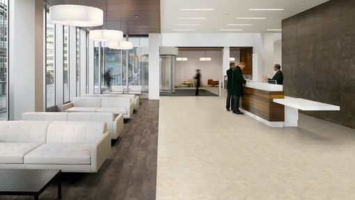 Expona Vinyl Flooring Polyflor