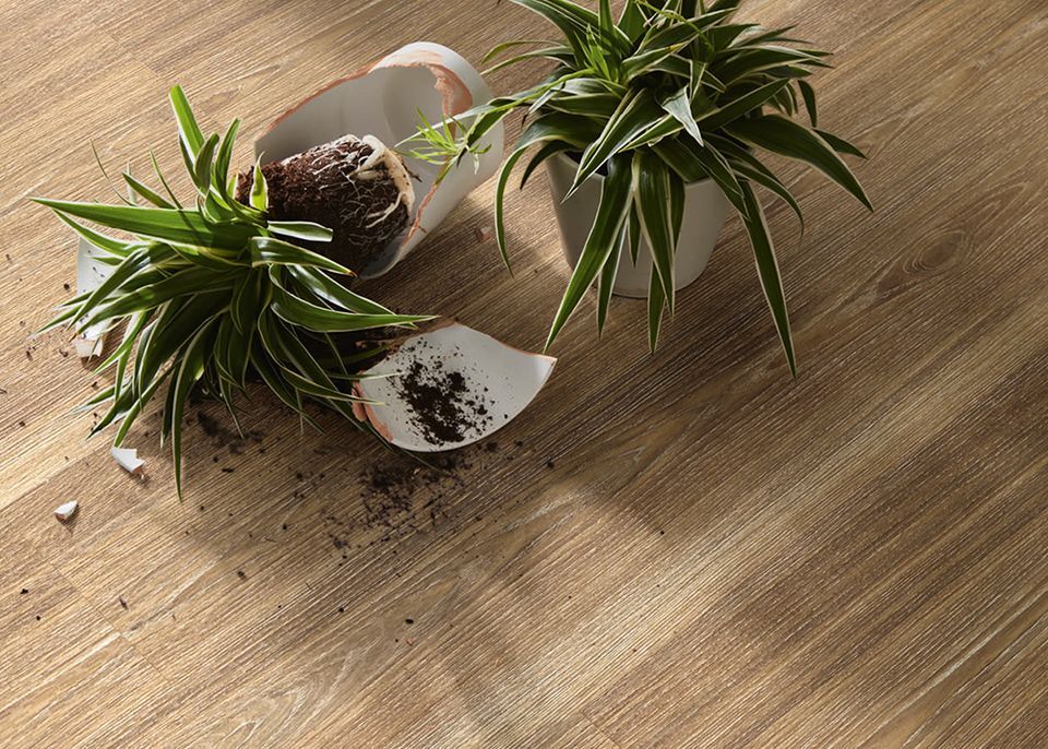 Polyflor vinyl flooring 