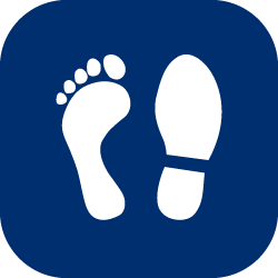 Polyflor Vinyl Flooring