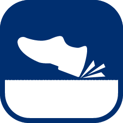 Polyflor Vinyl Flooring