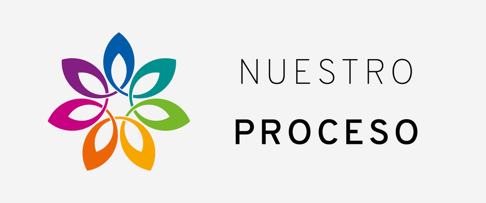 Nuestro proceso