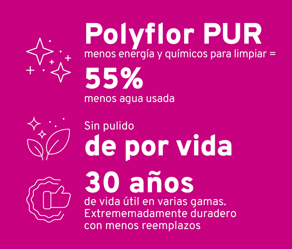 Paso 6