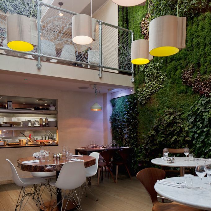 Restaurant dining with artificial ivy wall feature and Oak effect flooring