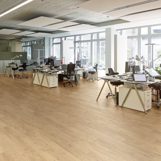 Office, desks, computers, large windows, oak style flooring