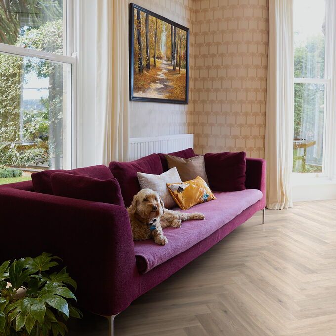 TLC Massimo in Blond Oak Large Parquet laid in a living room with a purple couch