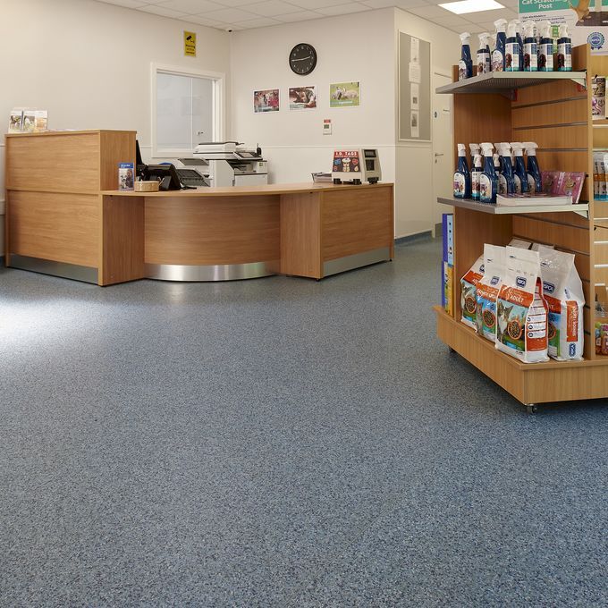 Vets practice reception area with blue coloured flooring