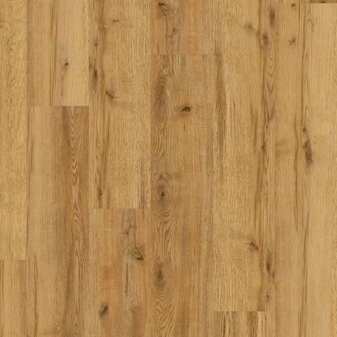 Sherwood Oak | Polyflor