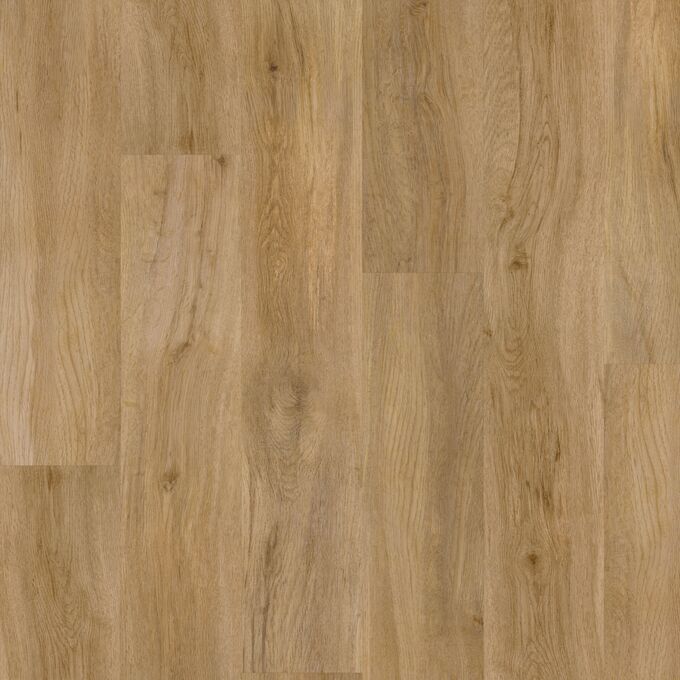 Evergreen Oak | Polyflor