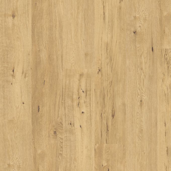 French Vanilla Oak | Polyflor