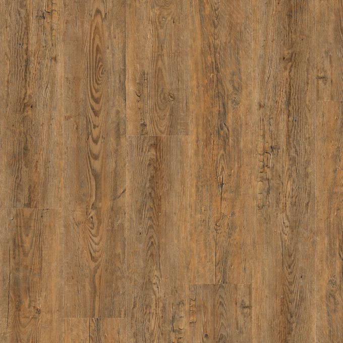 Wild Amber Oak | Polyflor