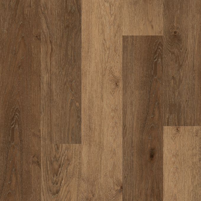 Provence Oak | Polyflor