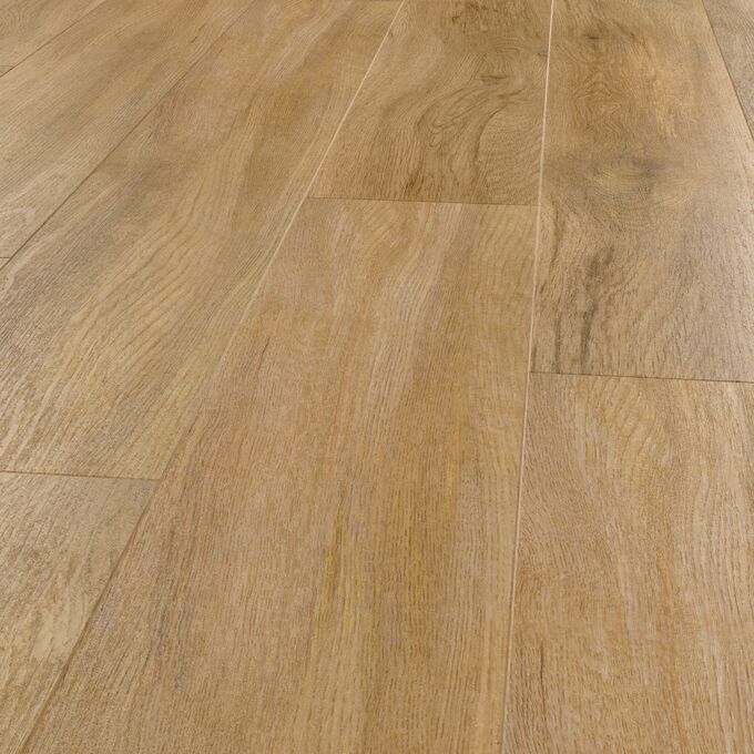 Evergreen Oak | Polyflor