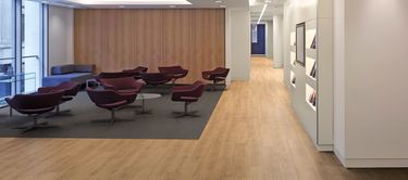 ＬＥＩ　ＰＡＲＵＦＹ　ｐｒｅｍｉｕｍ Expona Simplay PUR | Loose Lay Vinyl Tiles & Planks | Polyflor