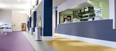 Astral Vinyl Flooring Polyflor